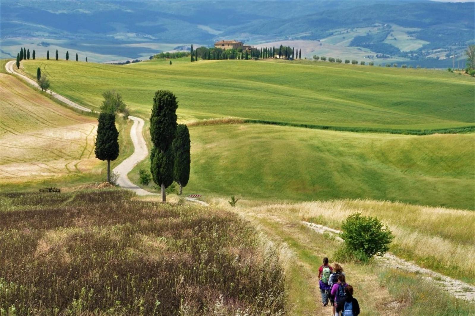 פיינצה Agriturismo Le Sorbelle D'Orcia Con Piscina מראה חיצוני תמונה