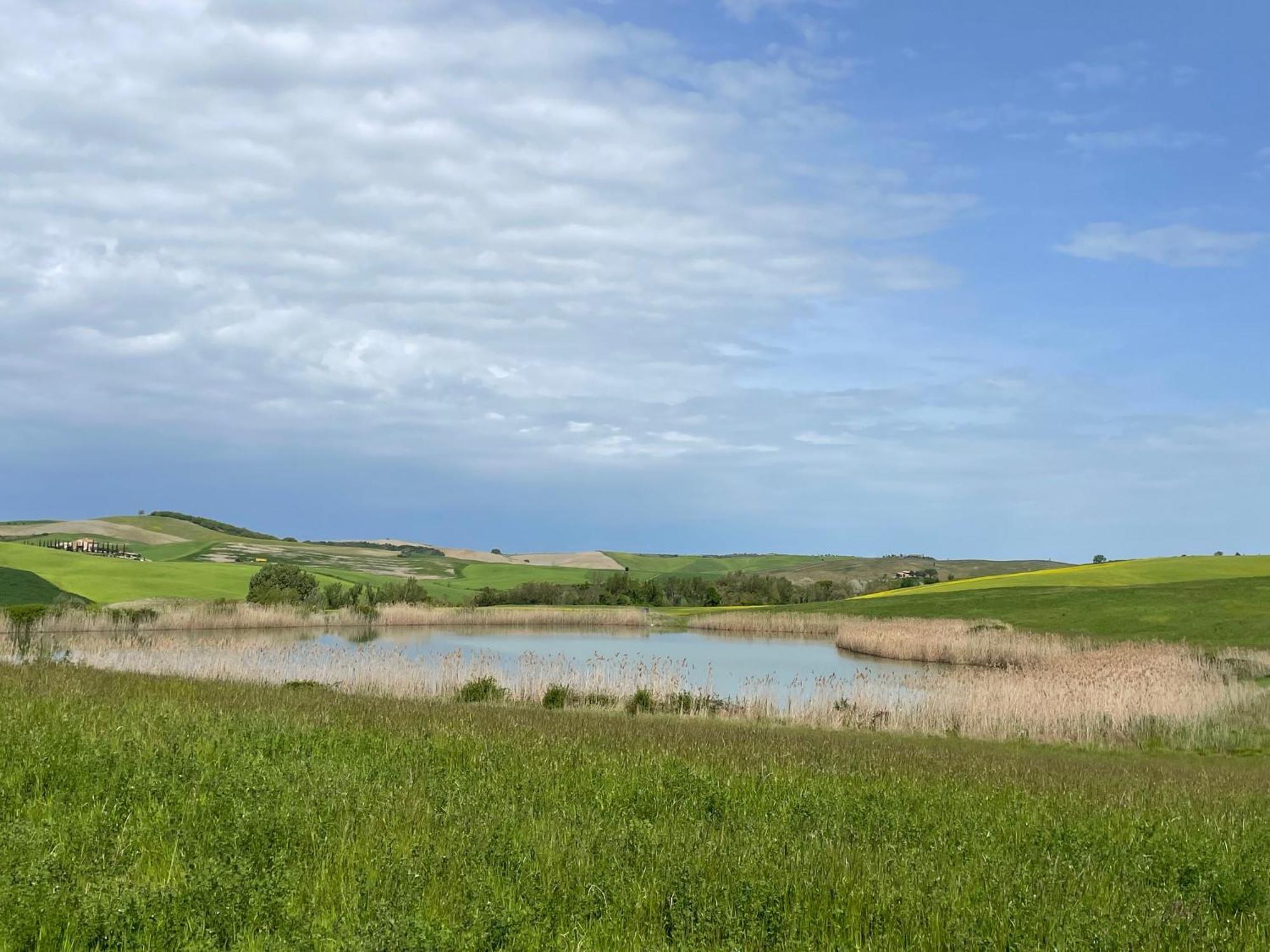 פיינצה Agriturismo Le Sorbelle D'Orcia Con Piscina מראה חיצוני תמונה